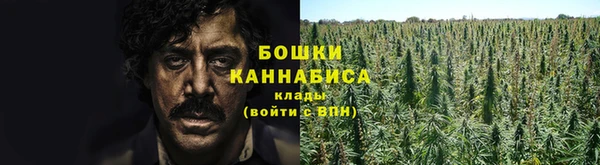 гашик Бронницы