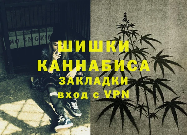 соль курить ск Бородино