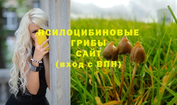 соль курить ск Бородино