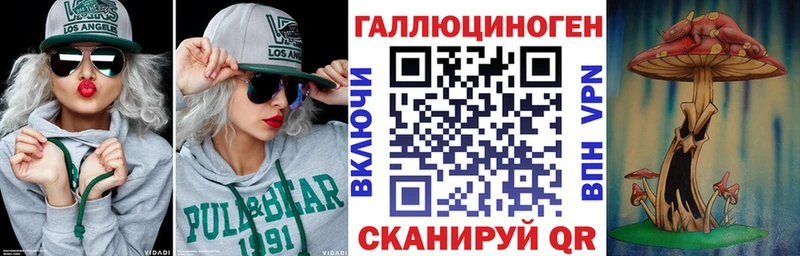 Галлюциногенные грибы Psilocybine cubensis  Купить закладки  Чегем 